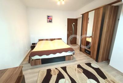 Apartament cu 2 camere decomandat, mobilat în Sub Arini - 4