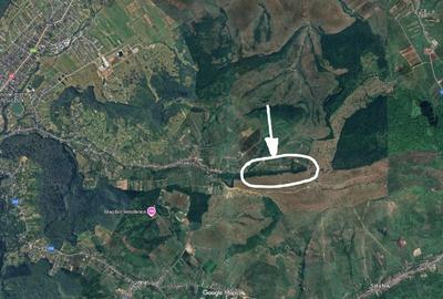 Teren extravilan 4 Ha (40 600 mp) - GHINDA, Bistrita, jud. BN - 2