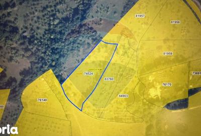 Teren de 6322 mp, în Central - 2