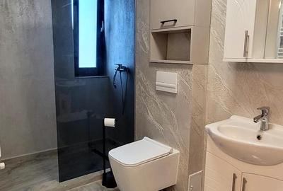Apartament cu 1 camera Visan - 9