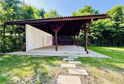 Casa de vacanta 7 camere | Valea Avrigului | teren 1000 mp | video - 14