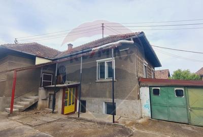 Casa pe un nivel in Medias, teren 533 mp, curte dreapta - 7