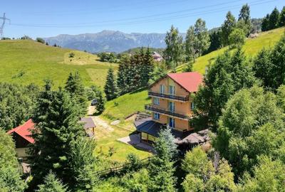 Casă individuală cu 7 camere cu Teren 725 Mp în Drumul Carului - 2