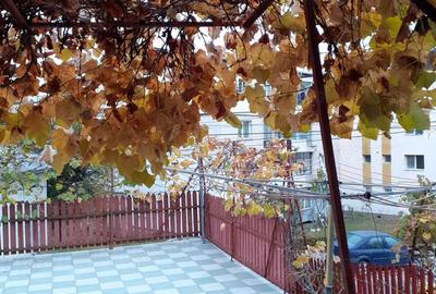 Casă cu 4 camere în Curtea de Argeș - 1