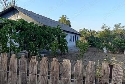 Casă cu 3 camere în Dor Mărunt - 2