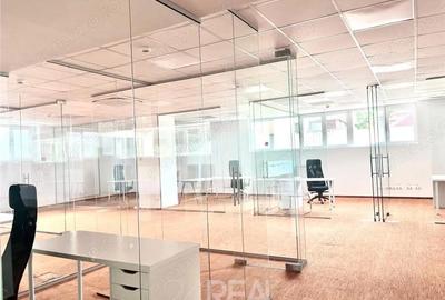 Spațiu comercial, de 441 mp, în Romană - 11