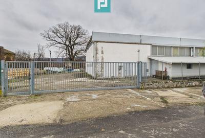 Hală cu teren intravilan de 3500 mp, în Sebiș Arad - 2