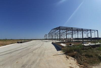 Hale noi in zona Gara Catelu, Drumul Intre Tarlale - 3
