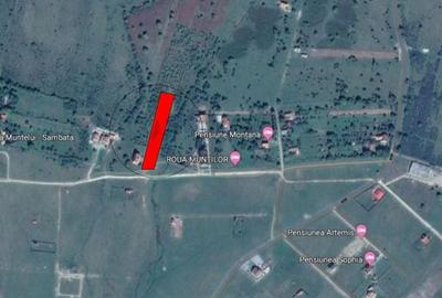 Teren de 4542 mp, în Sâmbăta de Sus - 10
