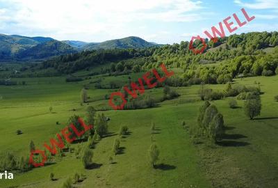 Spațiu comercial, în Vama Buzăului - 5