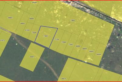 Teren Construcții intravilan de 1288 mp, în Măgurele - 3