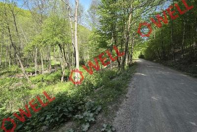 Teren de 5600 mp, în Brăduț - 7