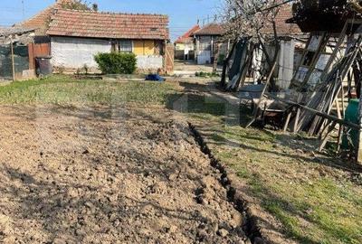 Teren de 1850 mp, în Sânandrei - 5