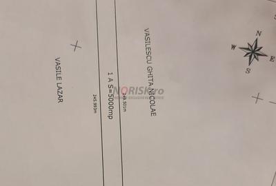 Teren Construcții intravilan de 2500 mp, în Ciorogârla - 5