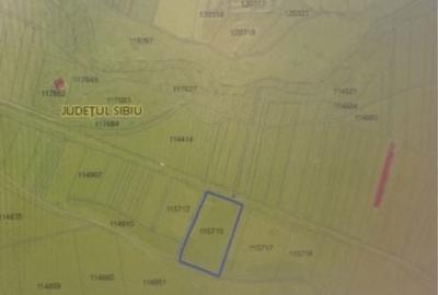 Teren de 11500 mp, în Cristian - 6