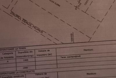 Spațiu comercial, în Central