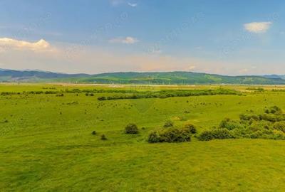 Teren de 10800 mp, în Râșnov - 1