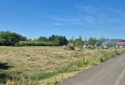 Teren de 3000 mp, în Merișor - 4