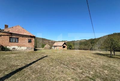 Teren intravilan de vanzare 14000mp,ideal pentru investitie, - 4