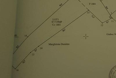 Spațiu comercial, în Lepșa - 4