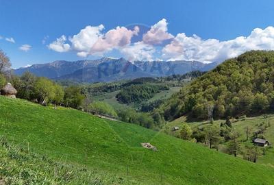 Teren Construcții intravilan de 2847 mp, în Moieciu de Jos - 5