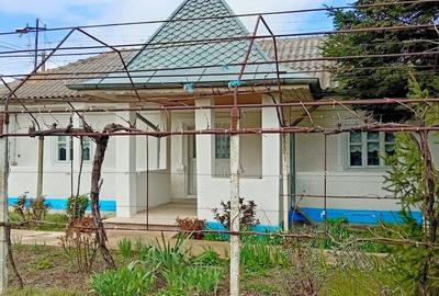 Casă cu 4 camere cu Teren 1593 Mp în Agighiol - 4
