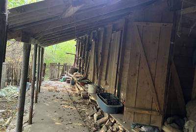 Casă cu 3 camere în Boșneagu - 2