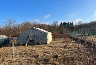 Teren de 1200 mp, în Snagov - 5