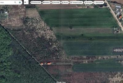 `Teren cu dubla deschidere, langa padure, Snagov - Strada Parcului - 4