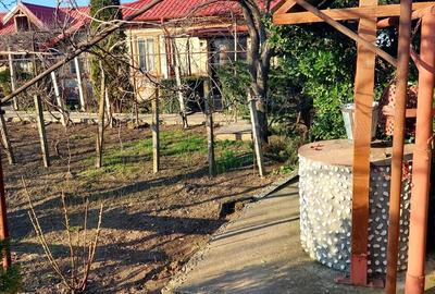 Casă cu 7 camere cu Teren 5500 Mp în Central - 5