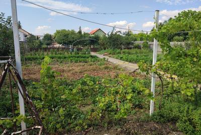 Casă individuală cu 7 camere cu Canalizare în Sânandrei - 8