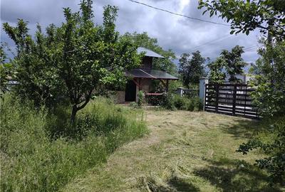 Casă cu 7 camere cu Teren 4000 Mp în Podenii Vechi - 9