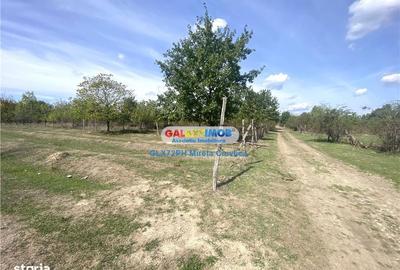 Spațiu comercial, în Tufeni - 7