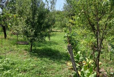 Casă cu 5 camere cu Teren 1600 Mp în Doicești - 5