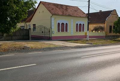 Casă cu 6 camere cu Teren 2465 Mp în Biled - 10