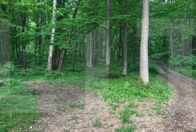 Teren de 1100 mp, în Făget - 2