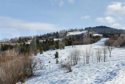 Teren de 7300 mp, în Central - 3