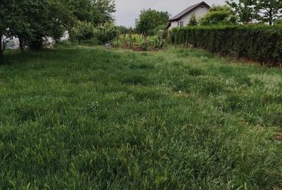 Teren de 10061 mp, în Vânători - 1
