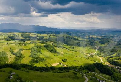 Teren extravilan, 130000 mp (13 hectare), zona turistica, Ra - 1