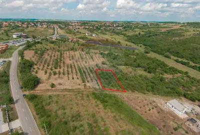 Teren intravilan 1,163mp de vanzare in Saldabagiu De Munte - 2
