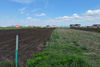 Teren de 1250 mp, în Stolniceni-Prăjescu - 1