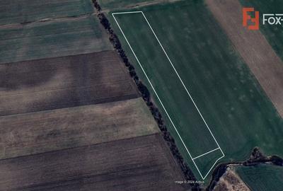 Teren intravilan in Sacalaz - Oportunitate de investitie Teren intravilan in Sacalaz - Oportunitate de investitie - 3