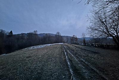 Teren agricol extravilan de 5000 mp, în Șinca Nouă - 7