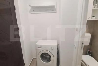 Garsonieră în Noua - 8