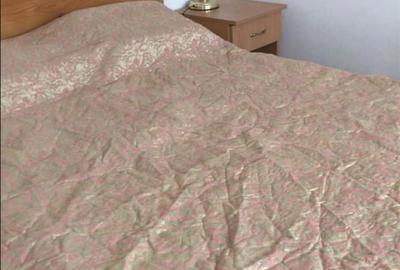 Casă cu 3 camere cu Teren 2900 Mp în Central - 2