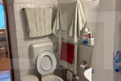 Casă cu 3 camere cu Teren 1400 Mp în Iratoșu - 6