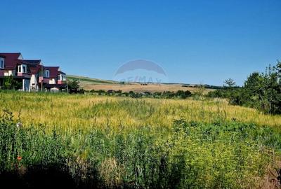 Teren Construcții intravilan de 3538 mp, în 1 Mai - 4