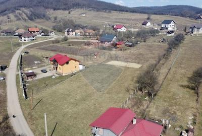 Teren Construcții intravilan de 3591 mp, în Aghireșu-Fabrici - 3