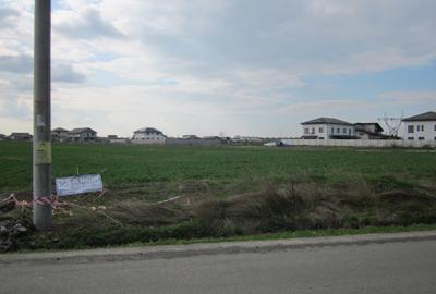 Teren Construcții intravilan de 2314 mp, în Domnești - 4