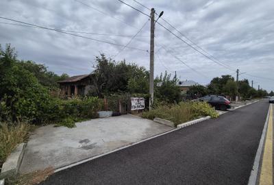 Cornetu stradal, vanzare teren intravilan 1.600mp Cornetu stradal, vanzare teren intravilan 1.600mp - 15